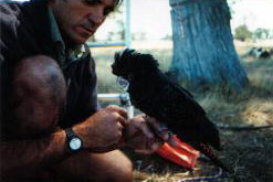 Richard Hill - field biologist